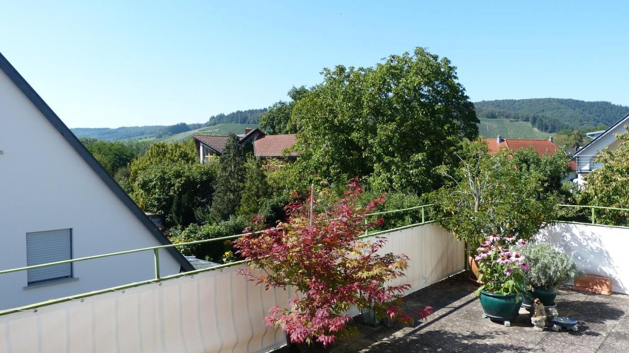 Eifelidylle Am Moselmaareradweg Apartment Wittlich Exterior foto